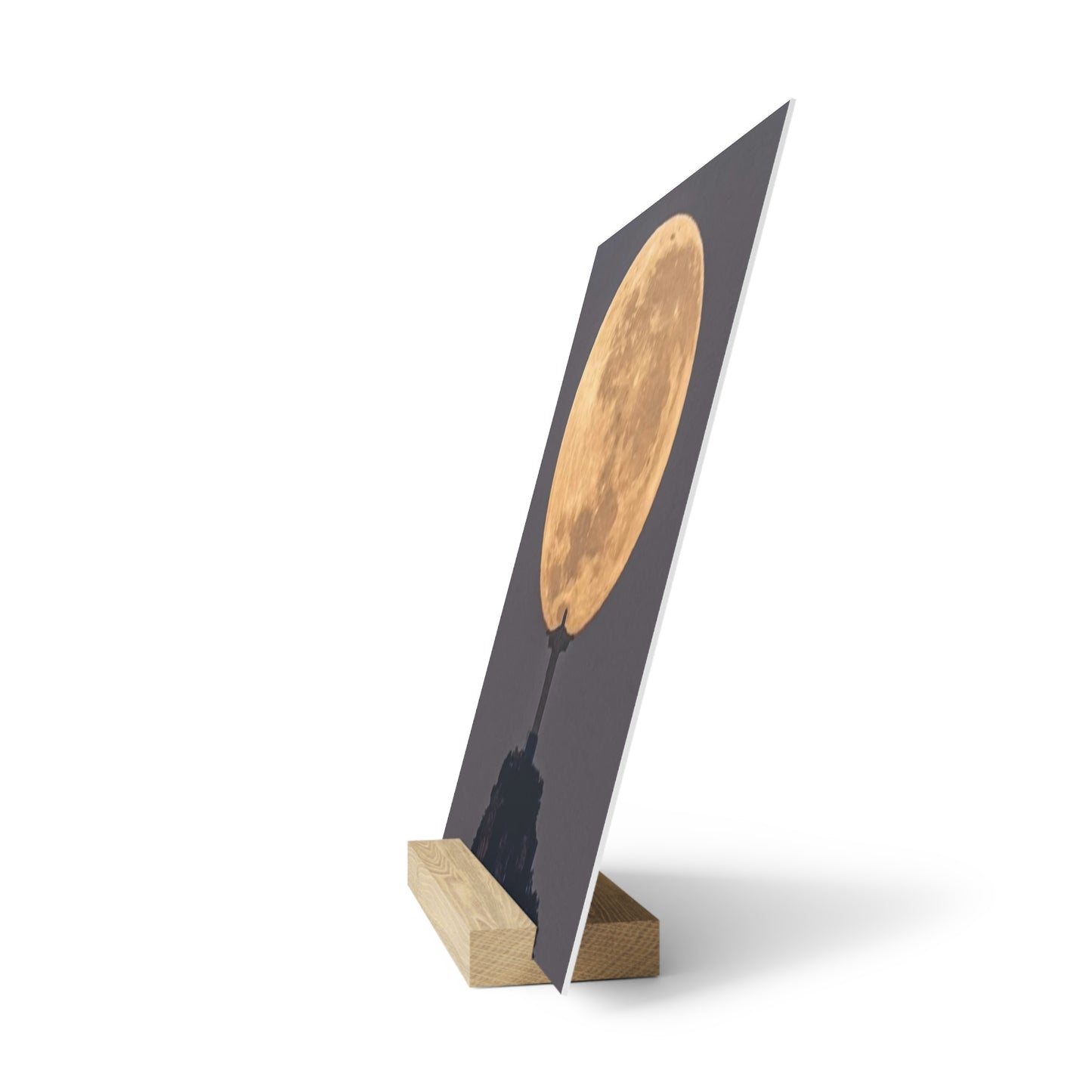 Chris the Redeemer, holding the moon, Canvas Board.