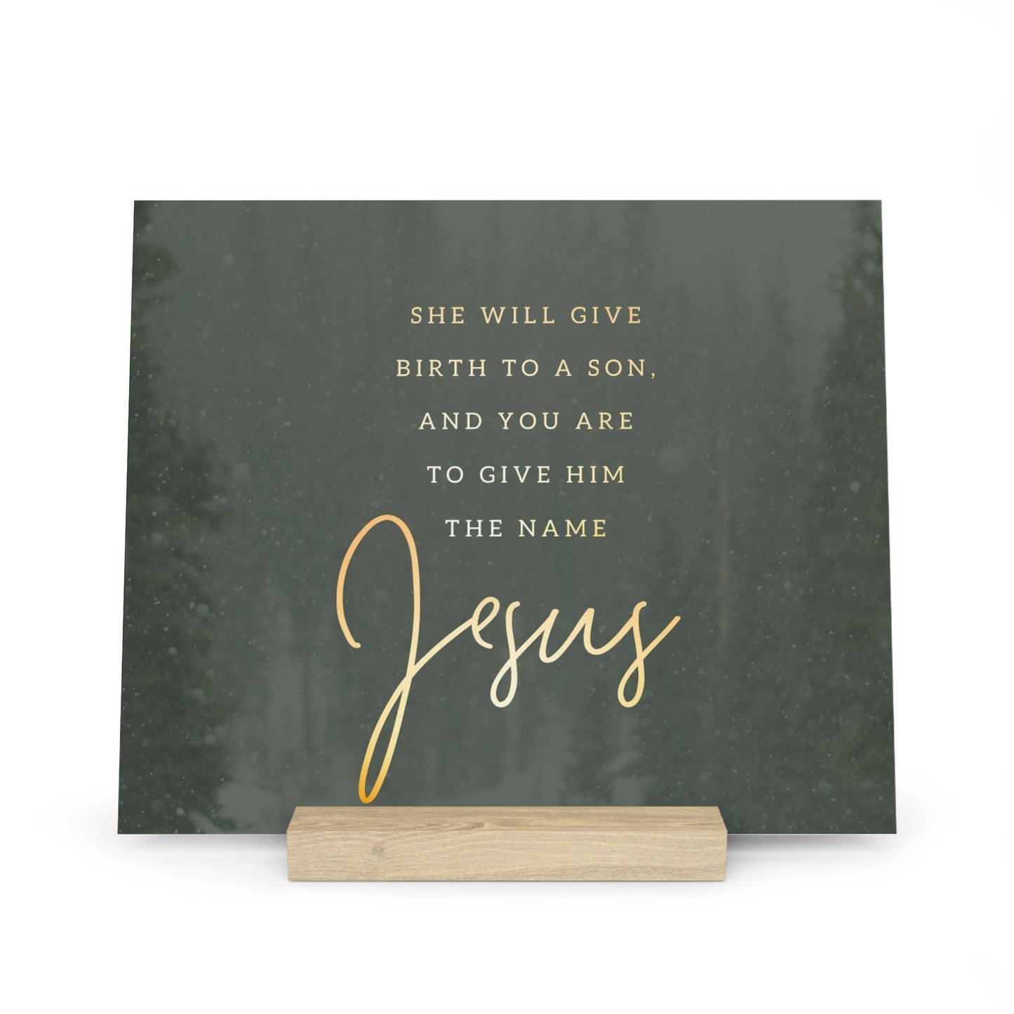 Matthew 1:21 Bible Verse Image, Gallery Board with Stand