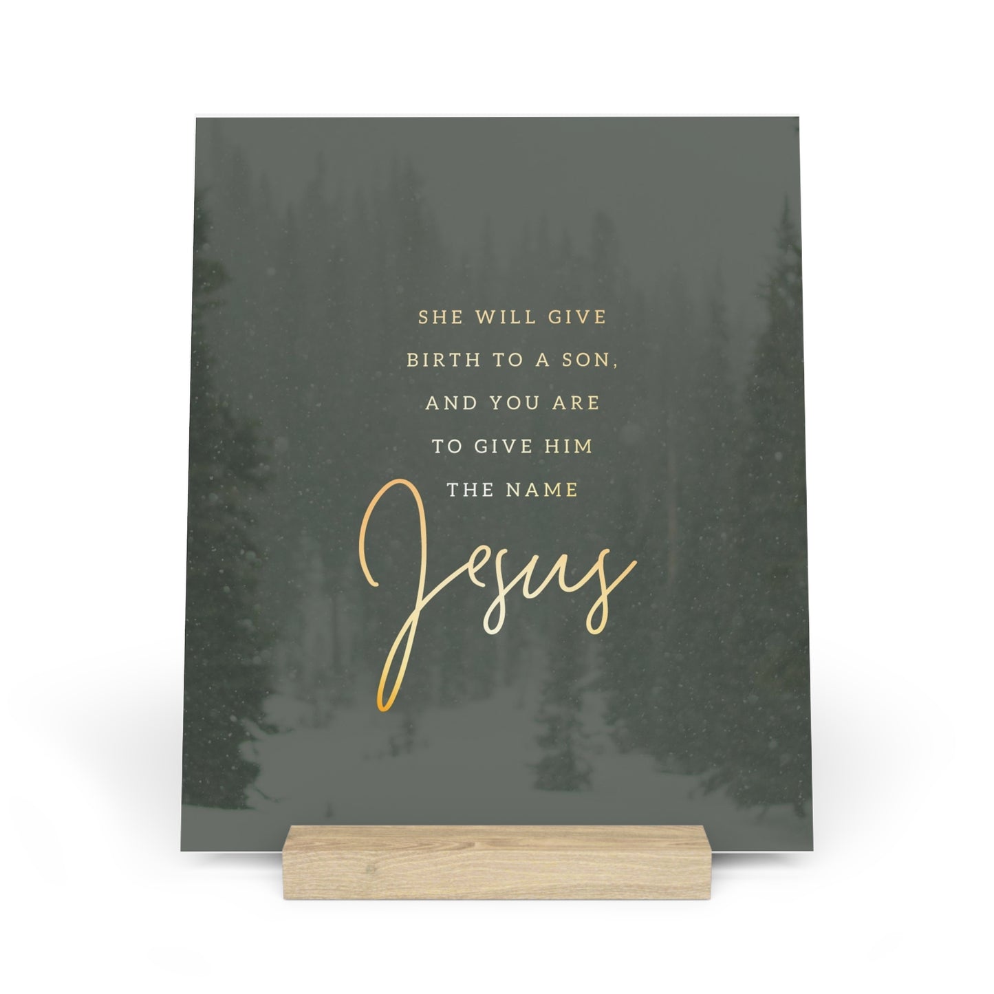 Matthew 1:21 Bible Verse Image, Gallery Board with Stand