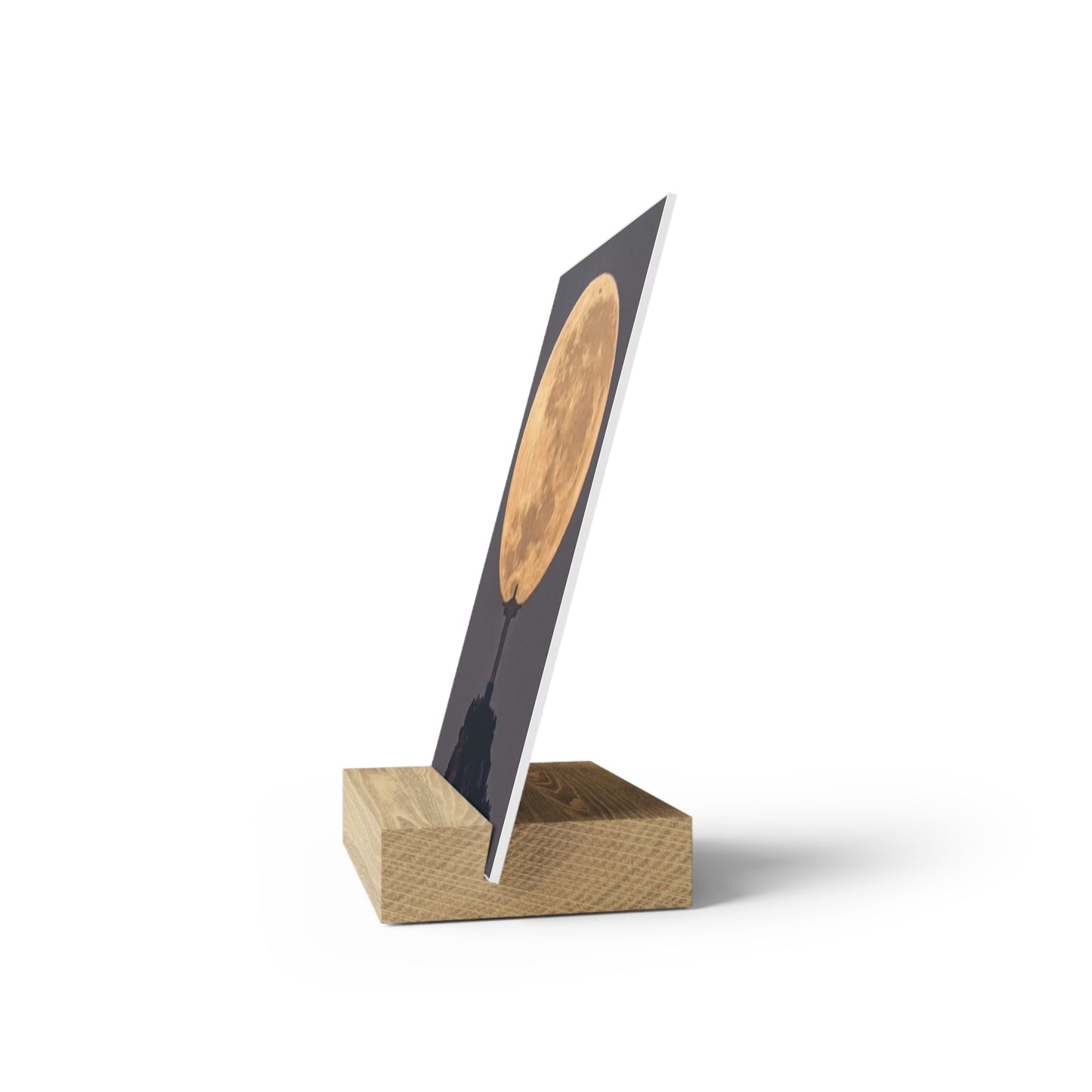 Chris the Redeemer, holding the moon, Canvas Board.