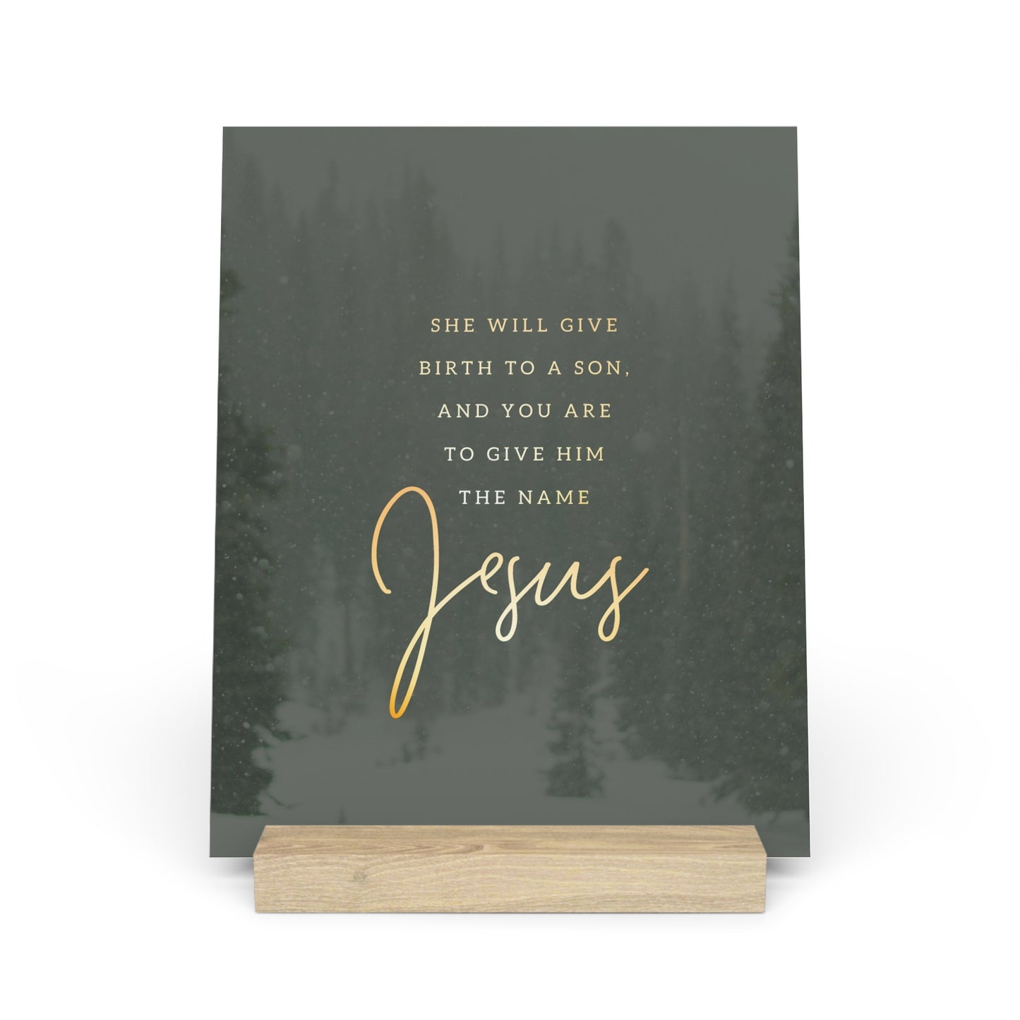 Matthew 1:21 Bible Verse Image, Gallery Board with Stand