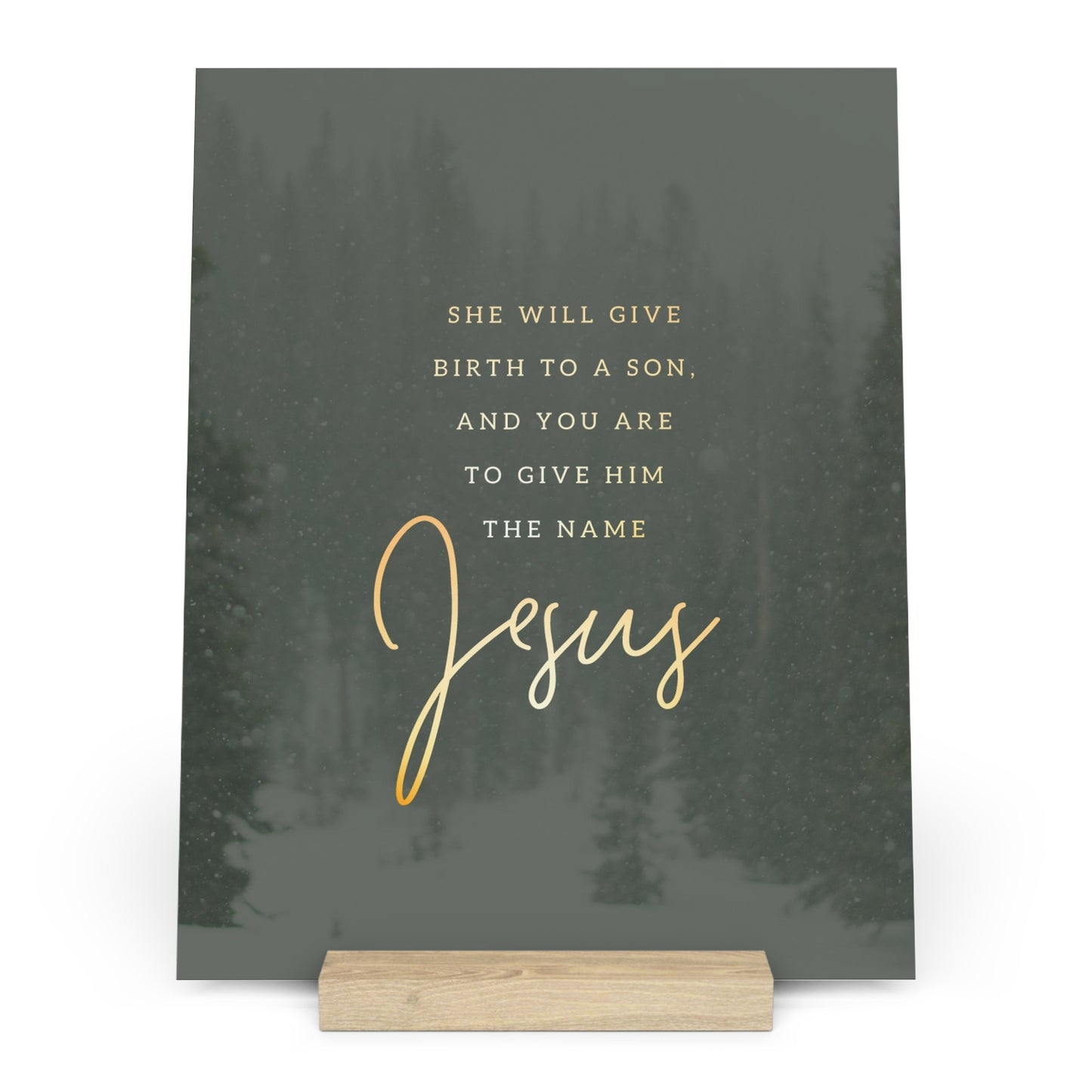 Matthew 1:21 Bible Verse Image, Gallery Board with Stand