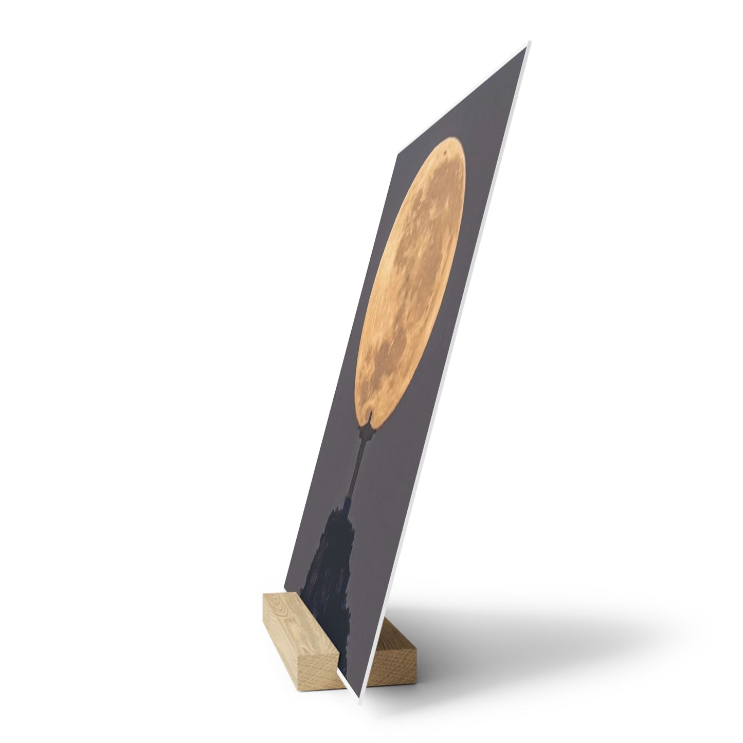 Chris the Redeemer, holding the moon, Canvas Board.