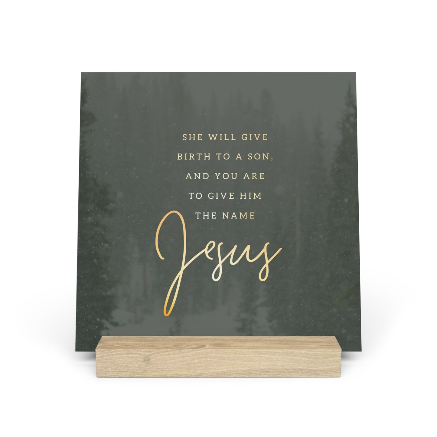 Matthew 1:21 Bible Verse Image, Gallery Board with Stand
