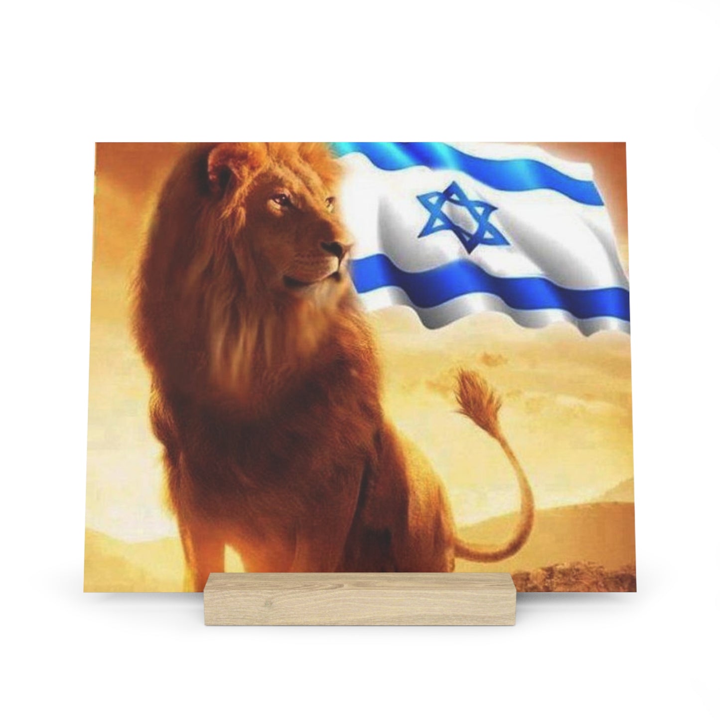 I stand with Israel! Gallery Board with Stand