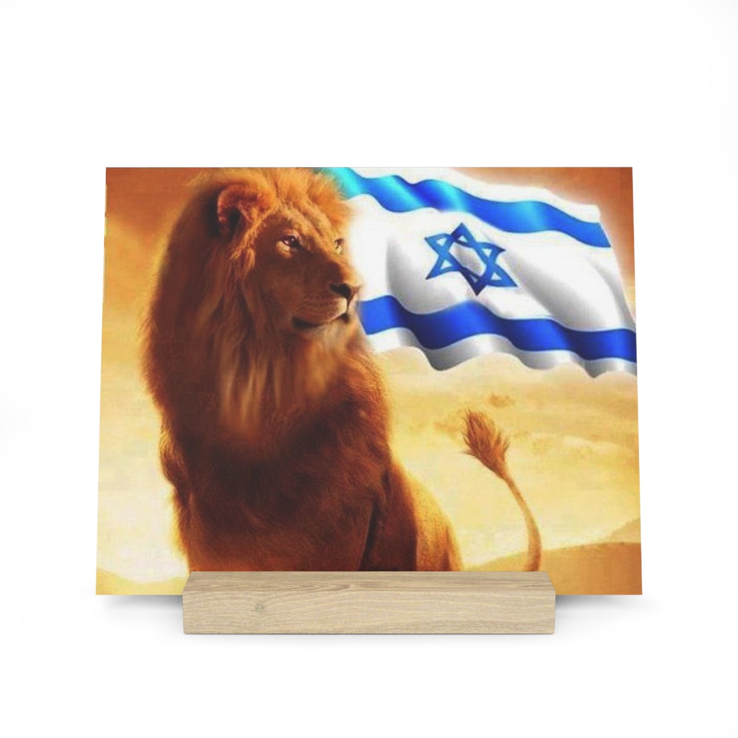I stand with Israel! Gallery Board with Stand