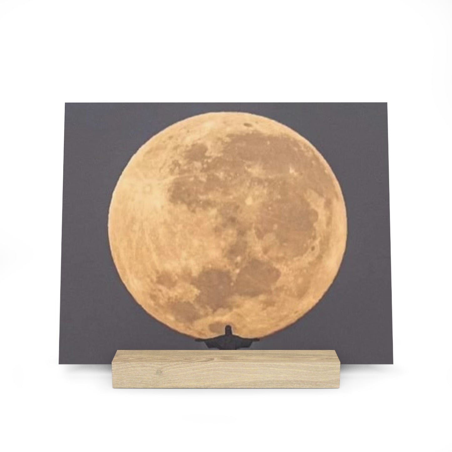 Chris the Redeemer, holding the moon, Canvas Board.