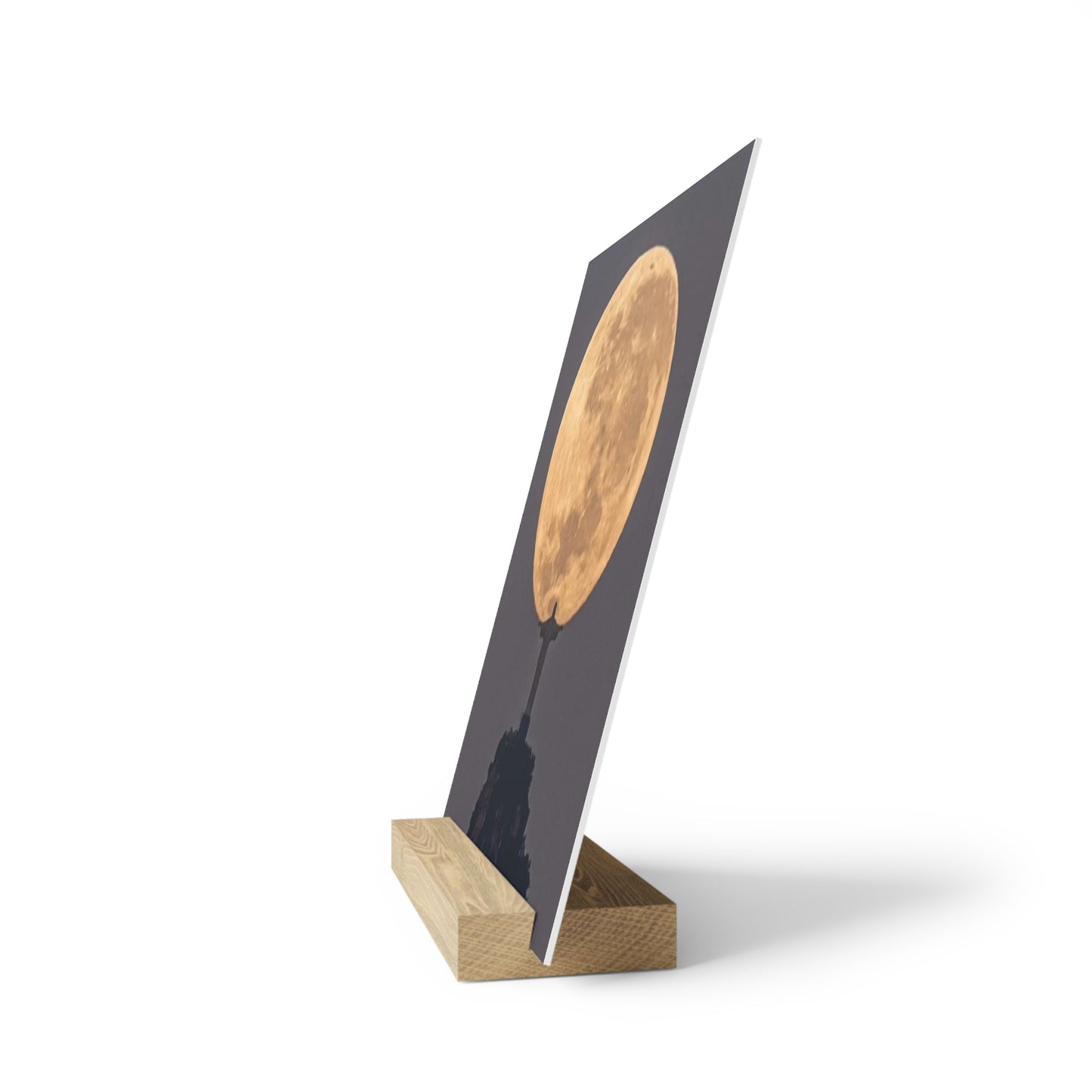 Chris the Redeemer, holding the moon, Canvas Board.