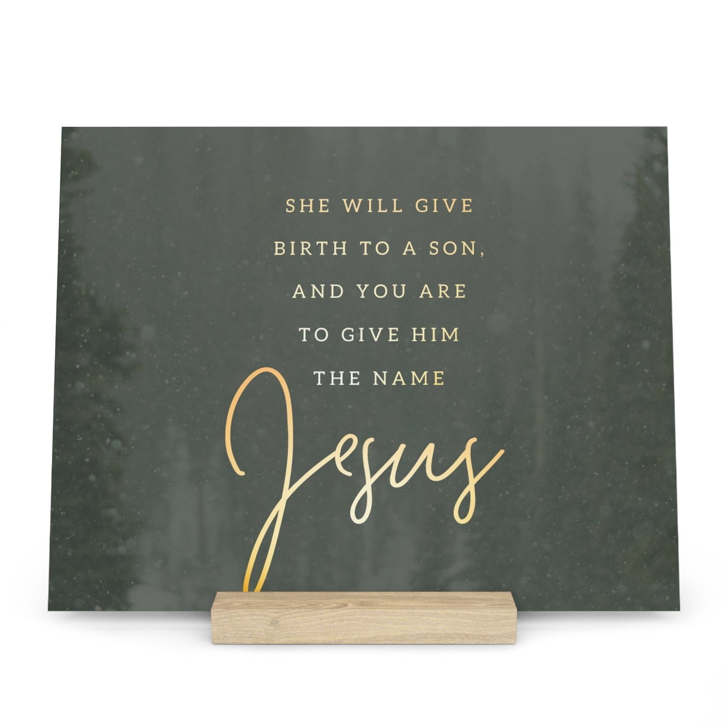 Matthew 1:21 Bible Verse Image, Gallery Board with Stand