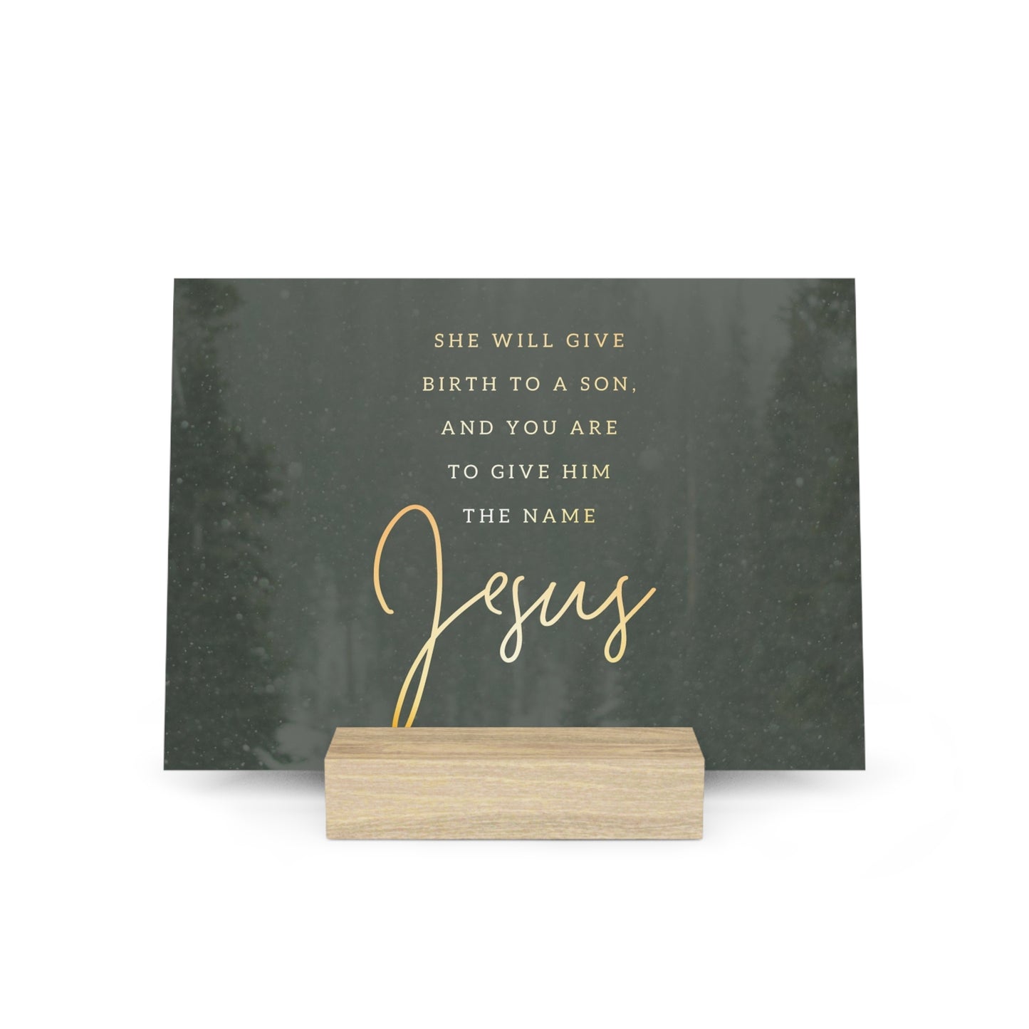 Matthew 1:21 Bible Verse Image, Gallery Board with Stand