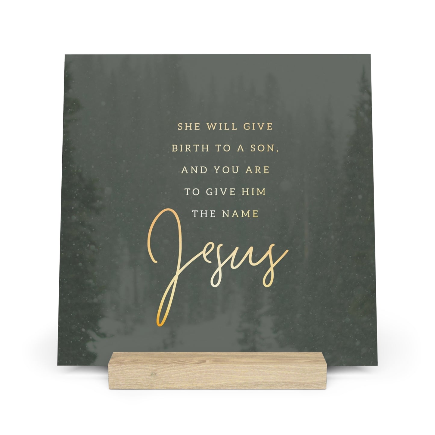 Matthew 1:21 Bible Verse Image, Gallery Board with Stand