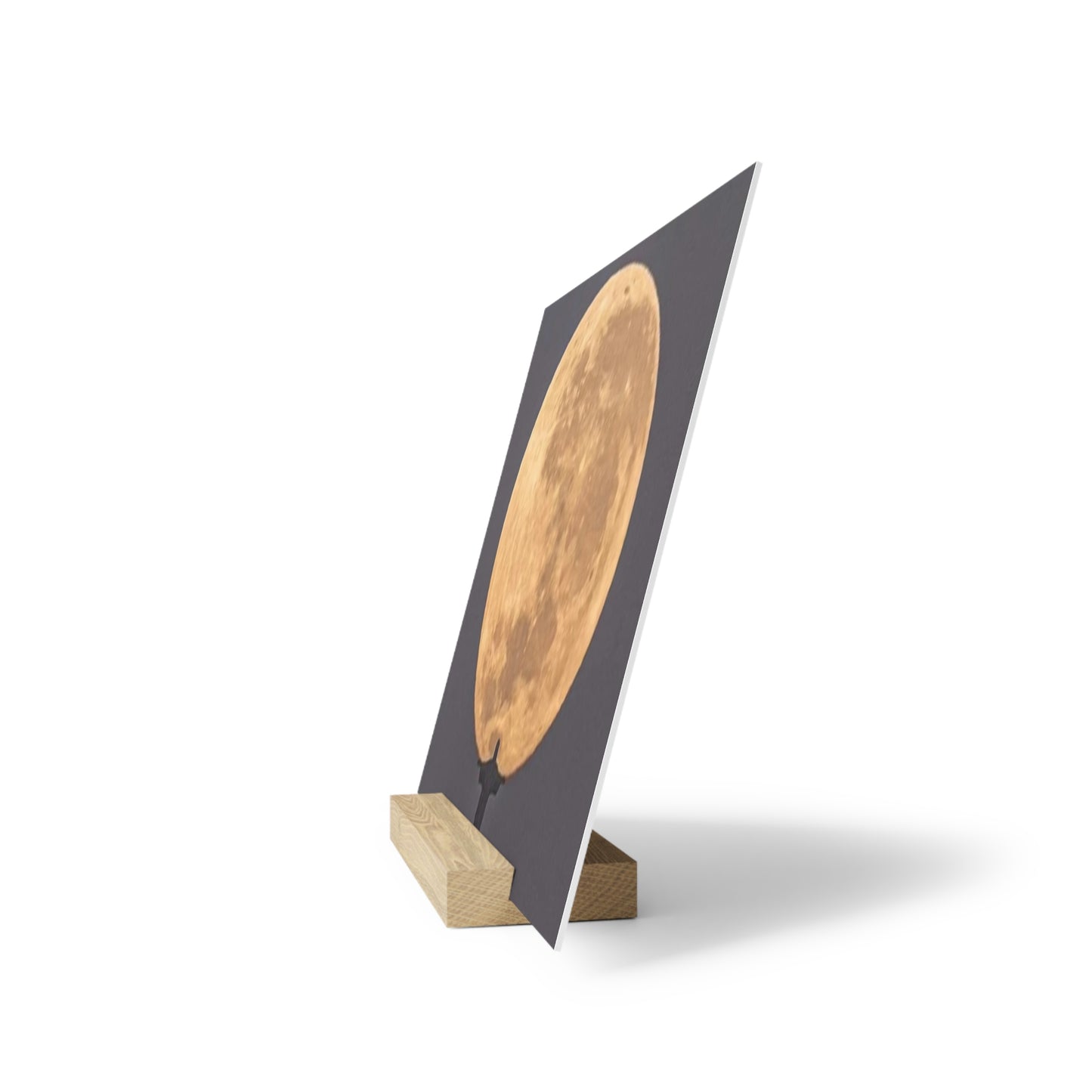 Chris the Redeemer, holding the moon, Canvas Board.