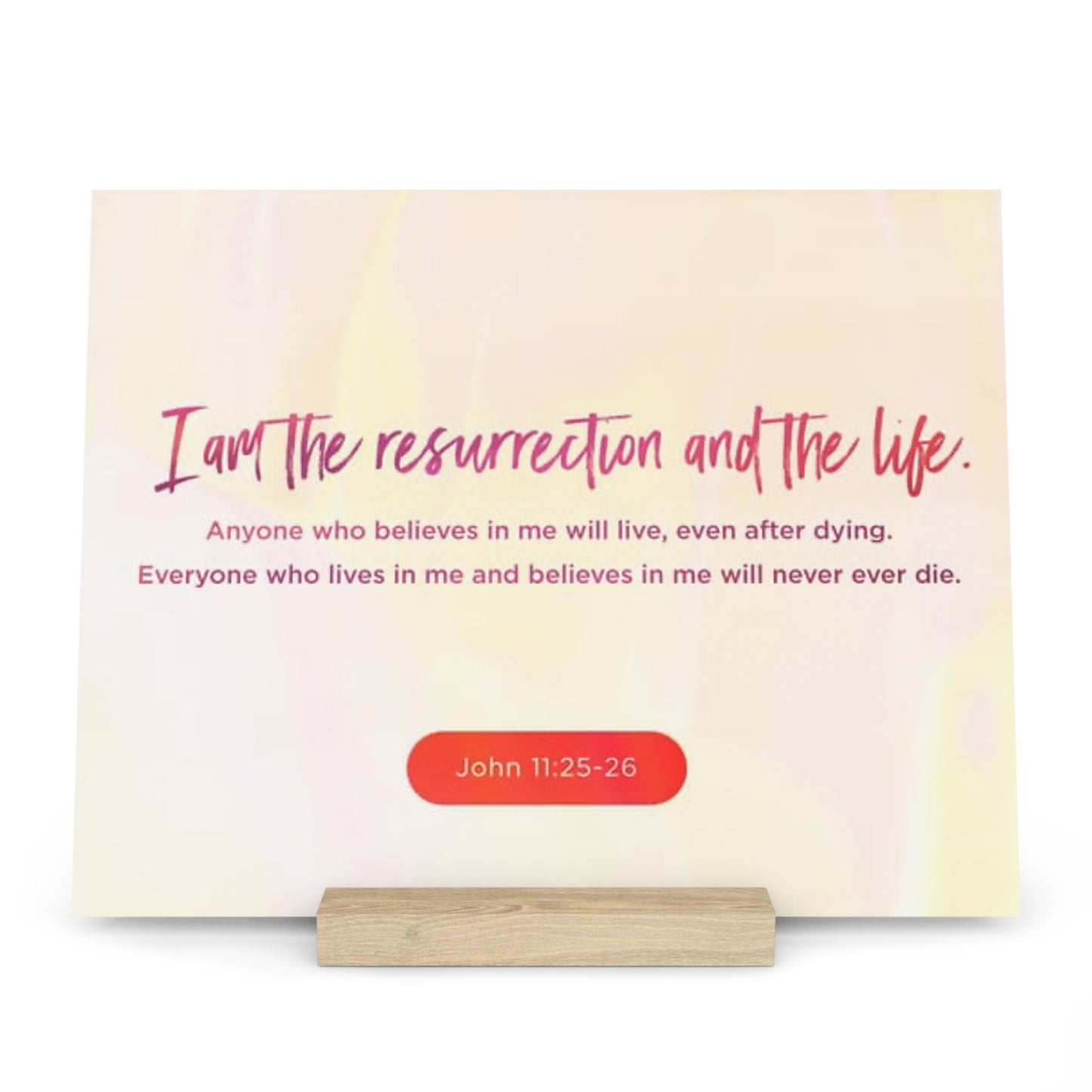 John 11:25-26 Bible Verse Image, Gallery Board with Stand
