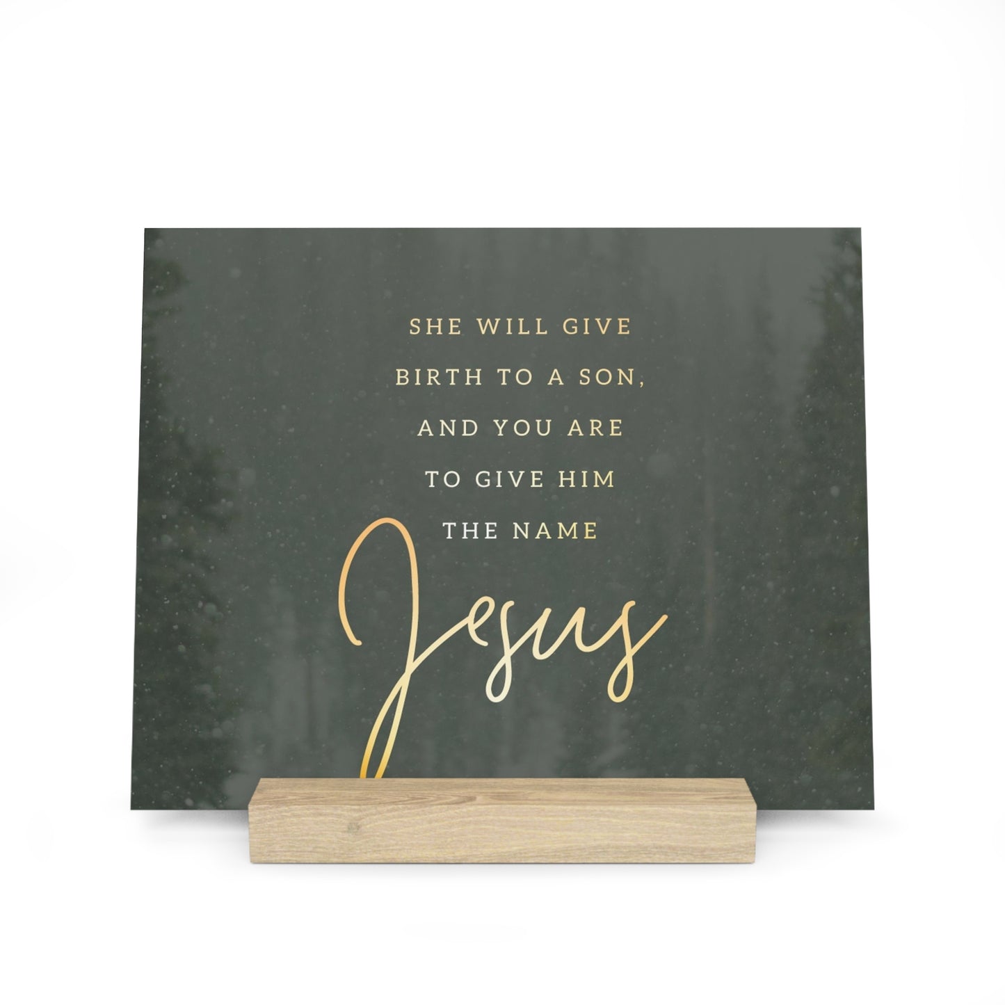 Matthew 1:21 Bible Verse Image, Gallery Board with Stand